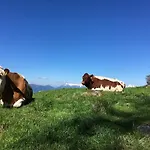 شقة Brettljause Fuenf Sinne دوبرياخ