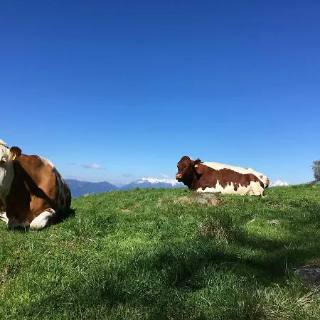 דירה Brettljause Fuenf Sinne דובריאך