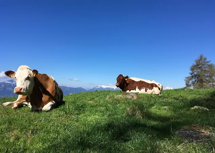 Apartament Brettljause Fuenf Sinne Döbriach